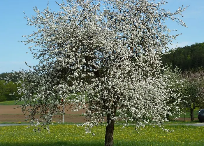 Bernerhof Apartamento